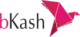 1656227518bkash-logo-png
